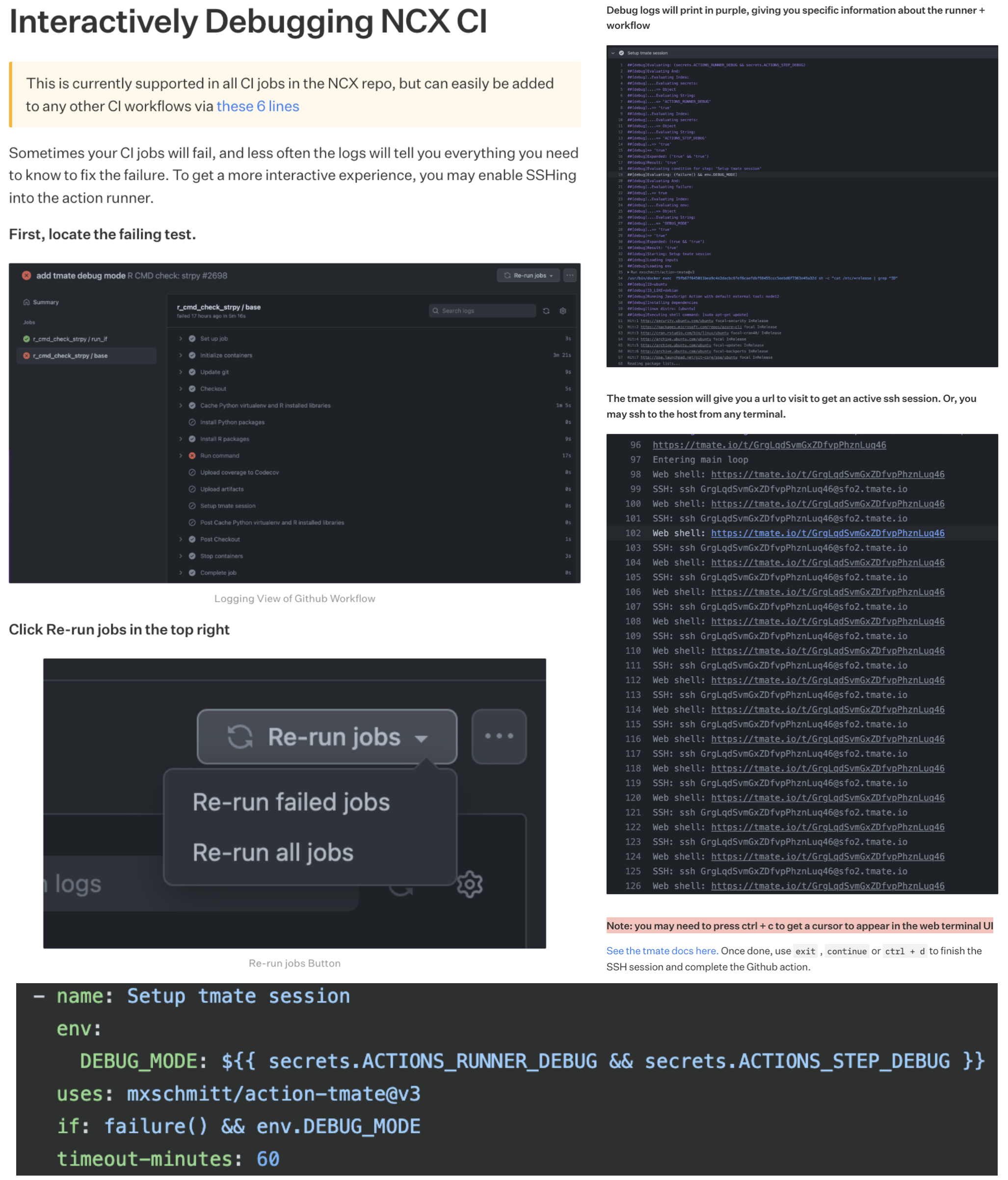 Example Workflow for Interactive Debugging of CI